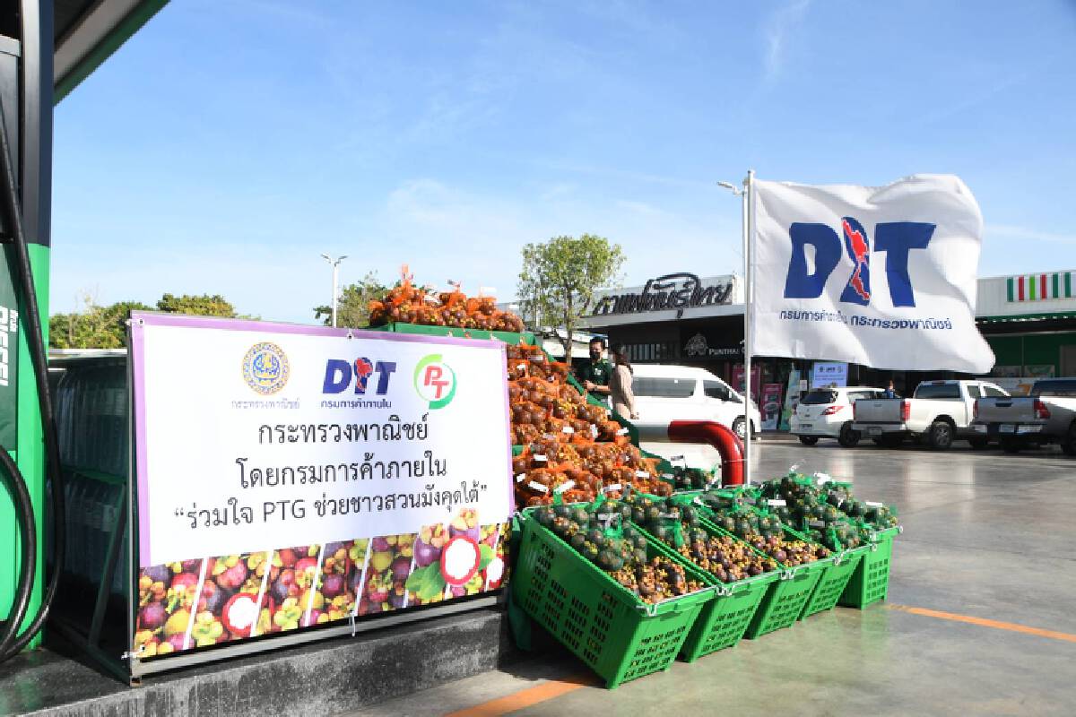 พาณิชย์ผนึกเอกชนรับซื้อมังคุดช่วยเกษตรกร