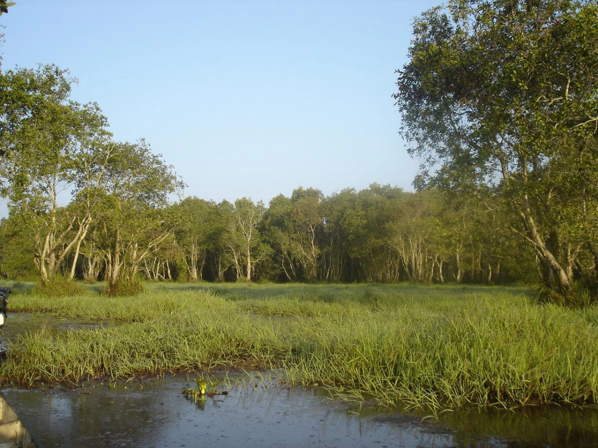 ตร.เผย 6 จุดเสี่ยงสูง แหล่งท่องเที่ยวภูเก็ต