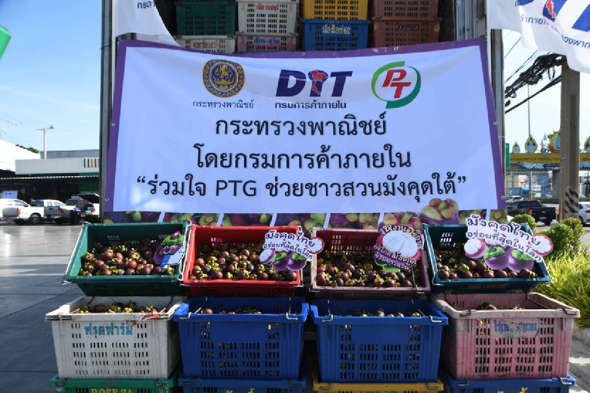 พาณิชย์ผนึกเอกชนรับซื้อมังคุดช่วยเกษตรกร