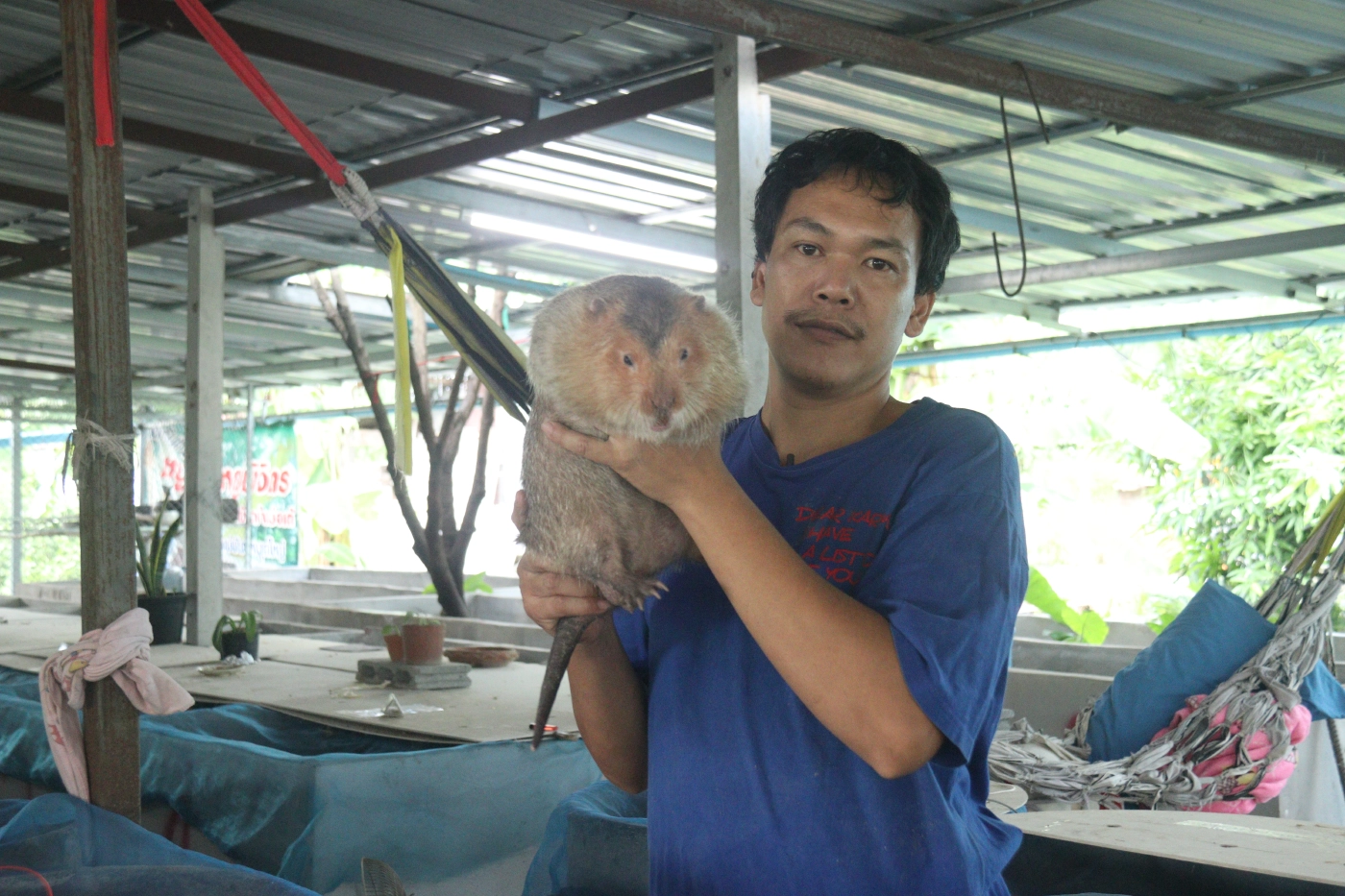 อาชีพใหม่เพาะเลี้ยง"ตัวอ้น"รายได้งาม