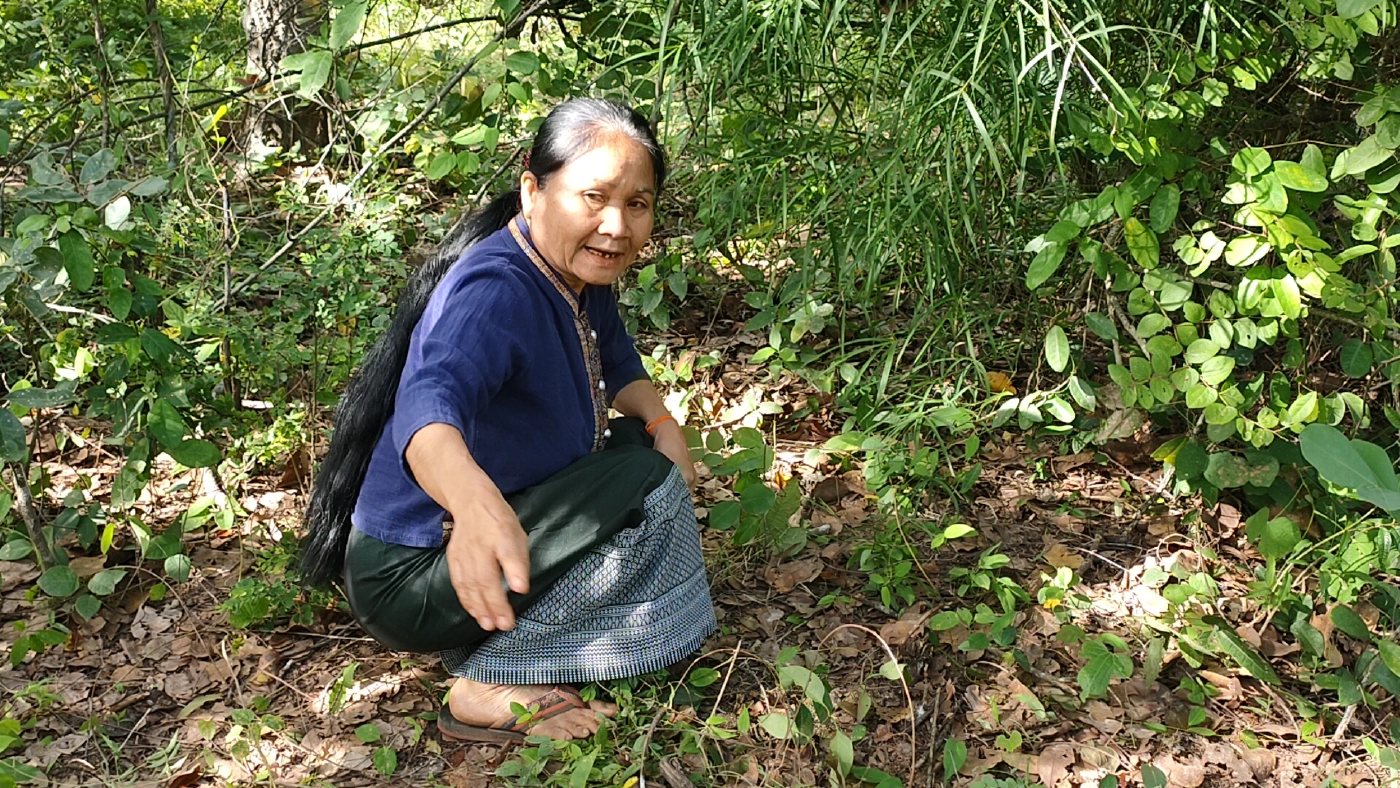 ป้าวัย58เข้าป่าหาเห็ดเจอไอ้โม่งโรคจิตย่องเอาผ้าคลุมหัว