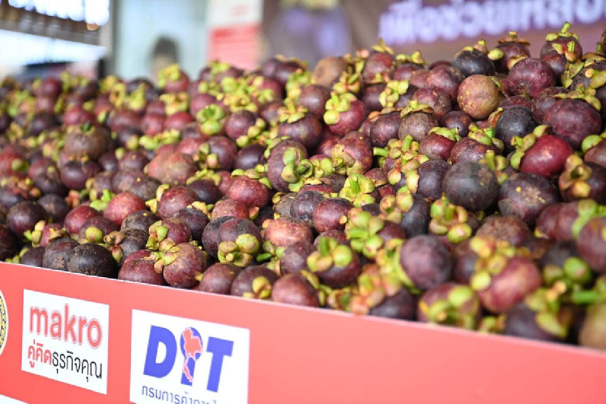 พาณิชย์เตรียมมาตรการรับมือ "ลองกอง" ออกสู่ตลาดเร็วๆ นี้