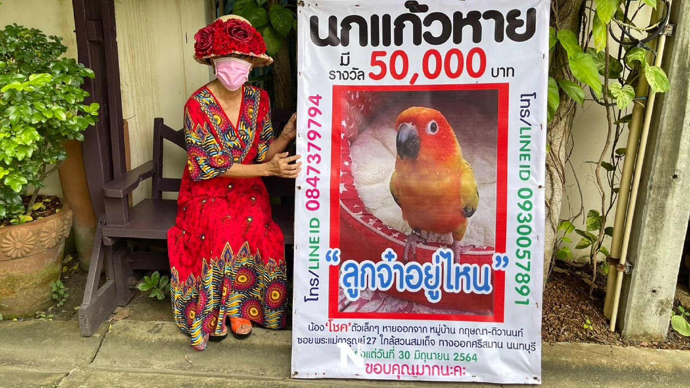 ลูกจ๋าอยู่ไหน ! นกแก้วสุดรักหาย เจ้าของตั้งรางวัลผู้แจ้งเบาะแส 50,000 บาท