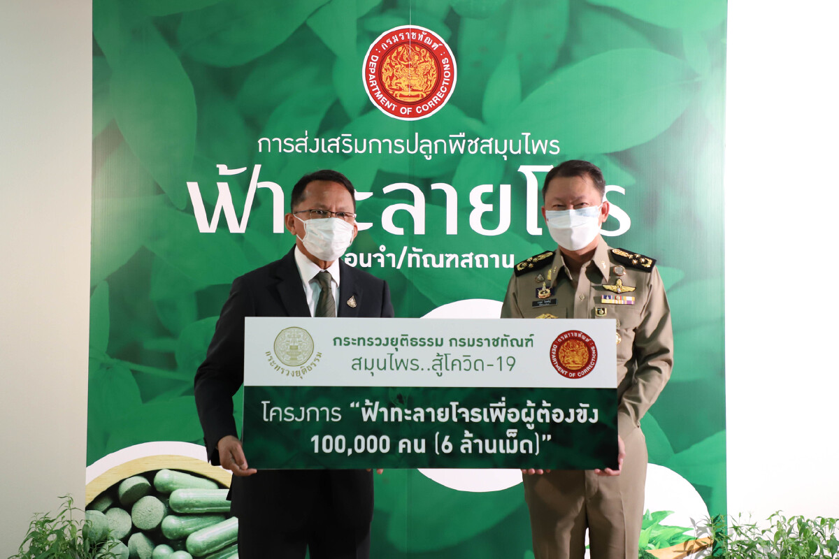 สมศักดิ์ เร่งปลูกฟ้าทะลายโจร พร้อมมอบยา 6 ล้านเม็ดแจกทุกคุก