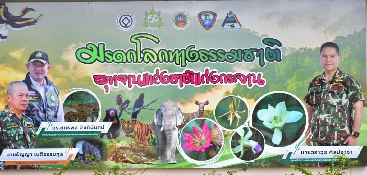 ดูแลครอบครัวผู้พิทักษ์ป่า อย่างสมเกียรติ
