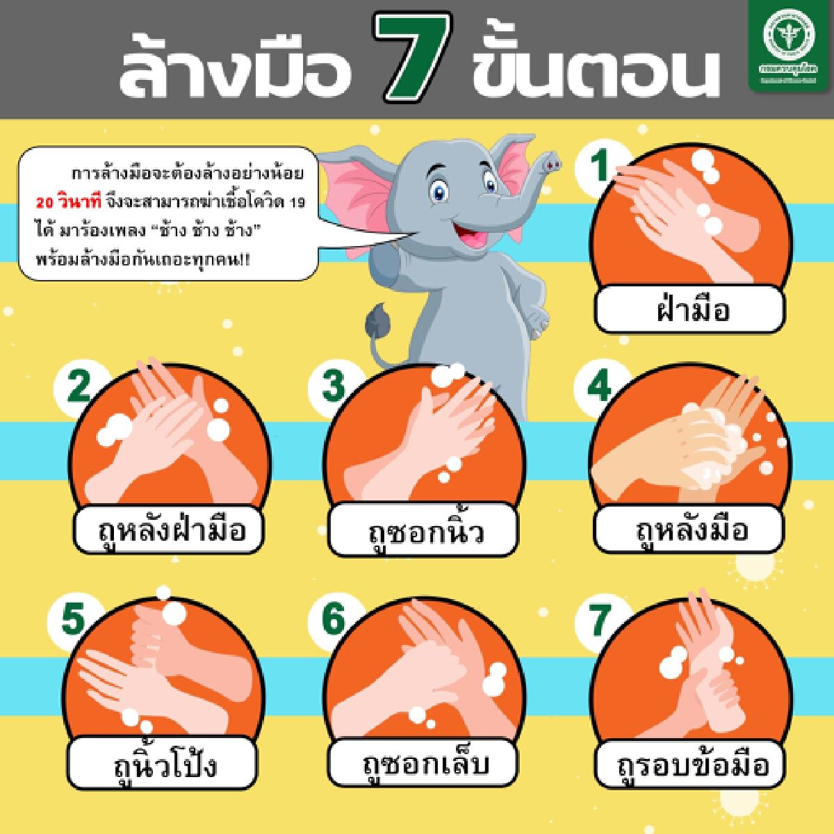 กรมควบคุมโรคแนะ ร้องเพลงช้างตอนล้างมือ ทำให้โควิดตาย ไม่แพร่ต่อ !!