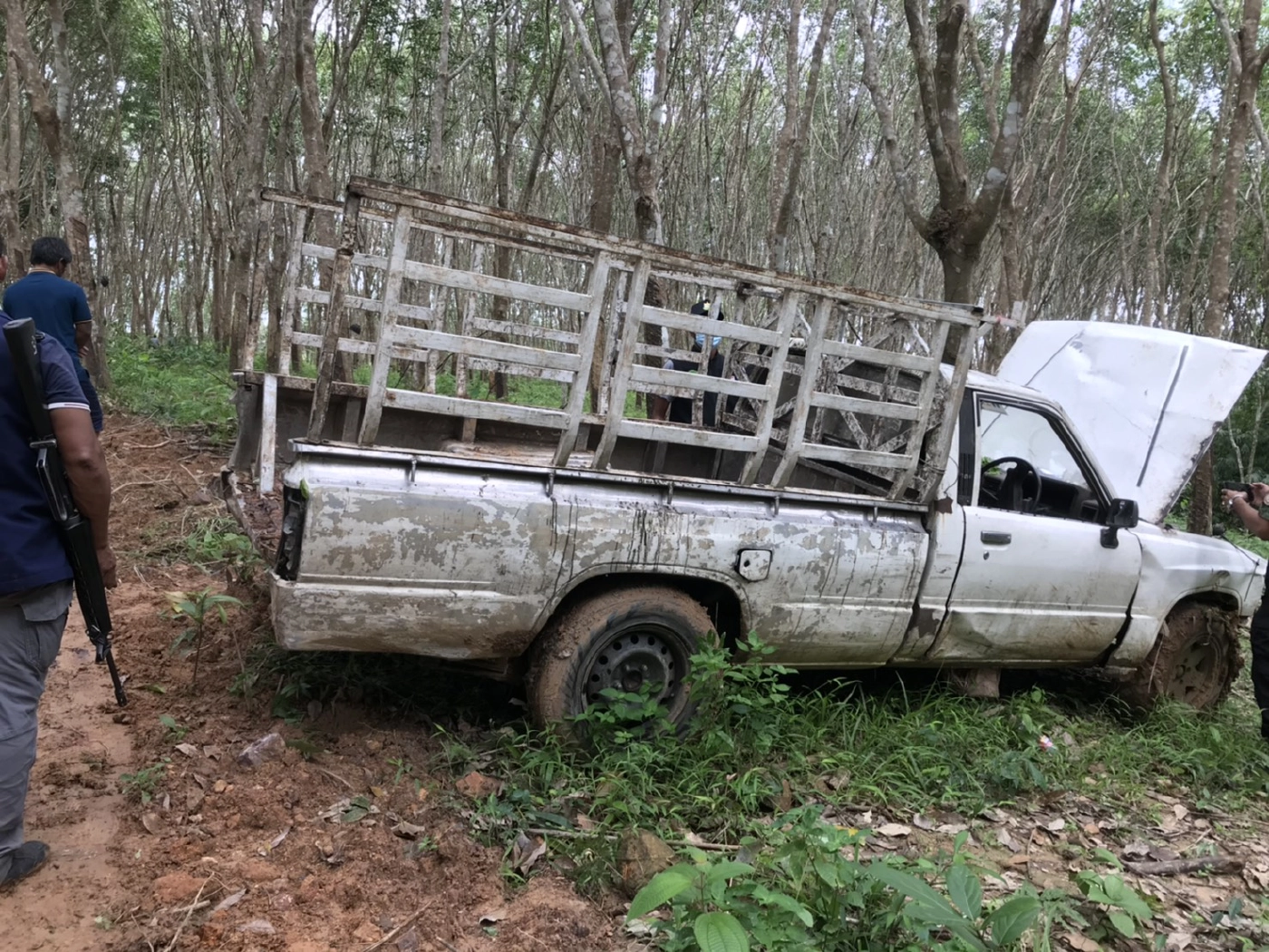 แก๊งมอดไม้ ลอบตัดต้นยางนา 200 ปี มูลค่ากว่า 1 ล.เชื่อเจ้าหน้าที่รัฐมี่เอี่ยว