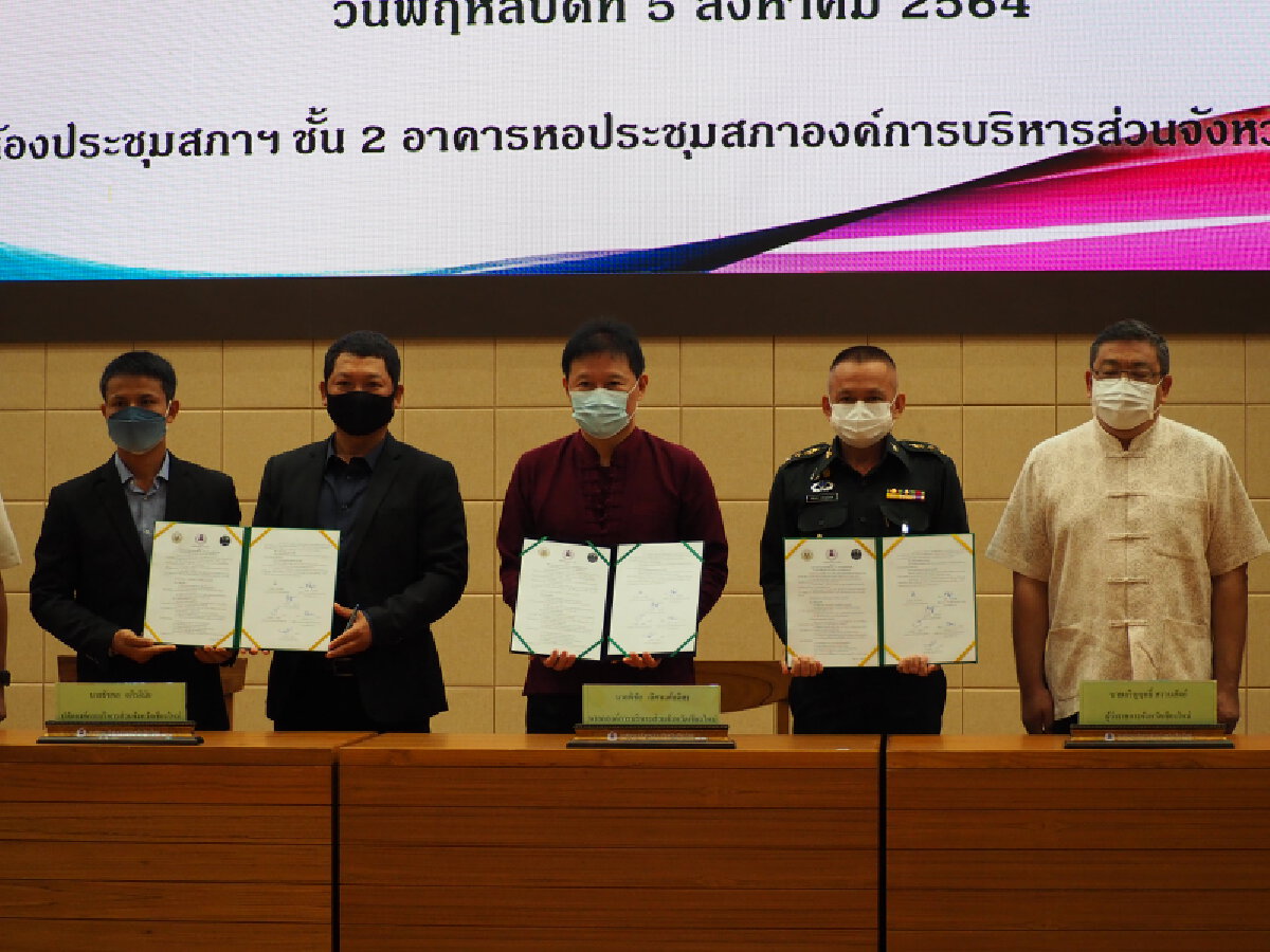 ฝ่าวิกฤติโควิดปลูกหญ้าเนเปียร์ช่วยช้าง
