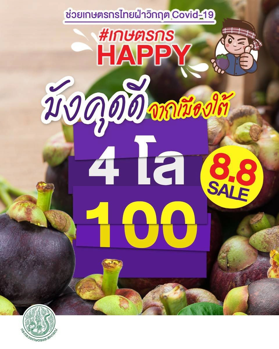 เกษตรฯ คิกออฟขายมังคุด 8 เดือน 8 ช่วยชาวสวน