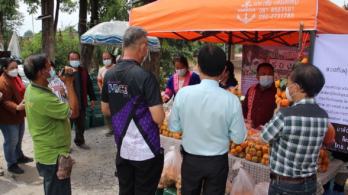 ผลผลิตทะลัก! พิษณุโลกเร่งระบาย ลูกพลับ