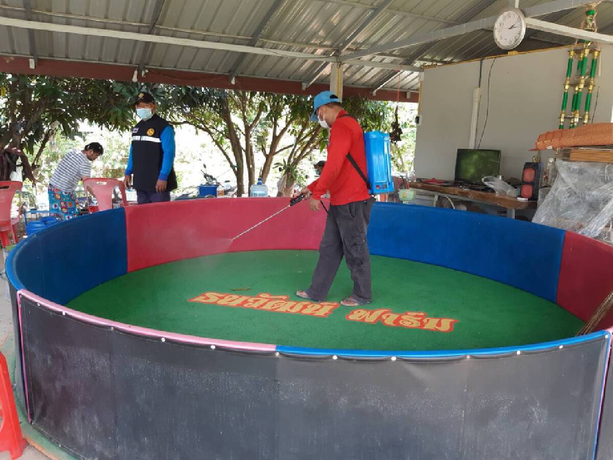 หวั่นระบาดซ้ำซ้อน ! ปศุสัตว์ครบุรี โคราช เร่งรณรงค์ป้องกันไข้หวัดนก