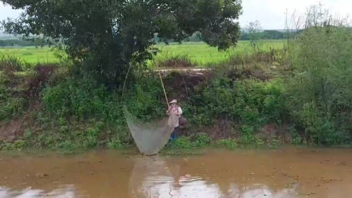 อานิสงส์ฝนตก-ชาวพะเยาแห่จับปลาสร้างรายได้