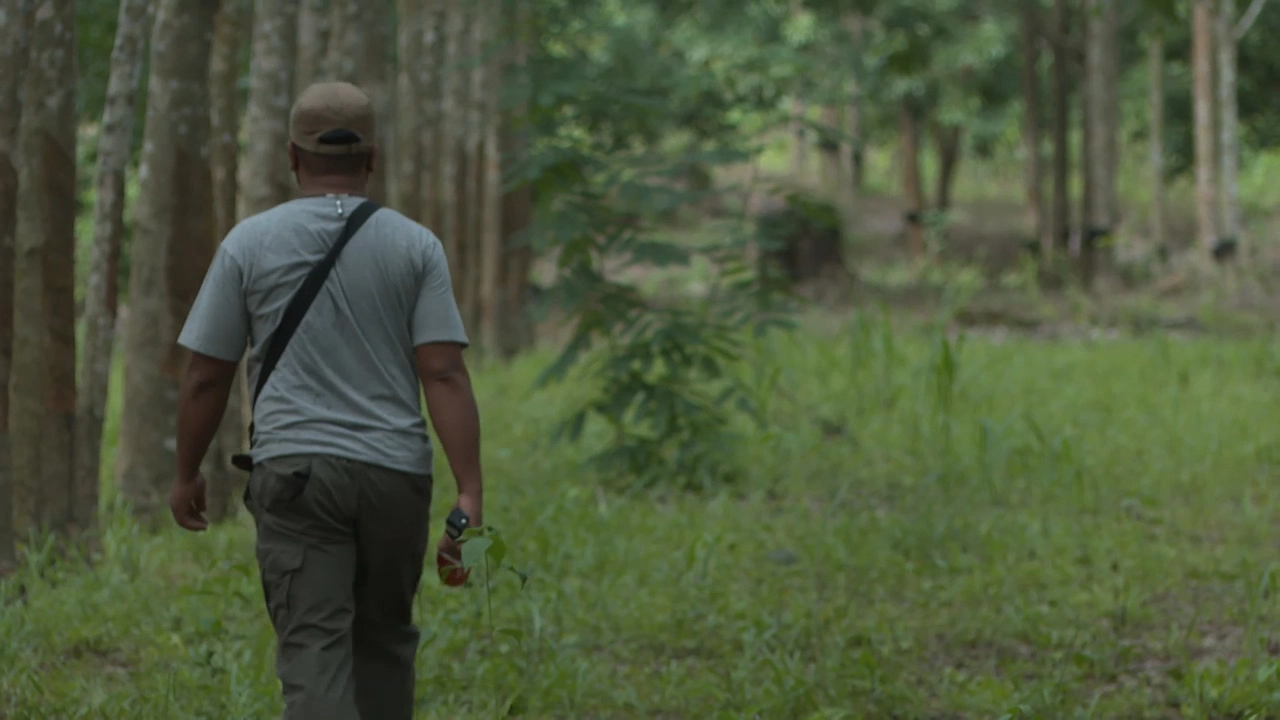 อัยการจังหวัดเตรียมสรุปสำนวน“ลุงพล”ฟ้องศาล