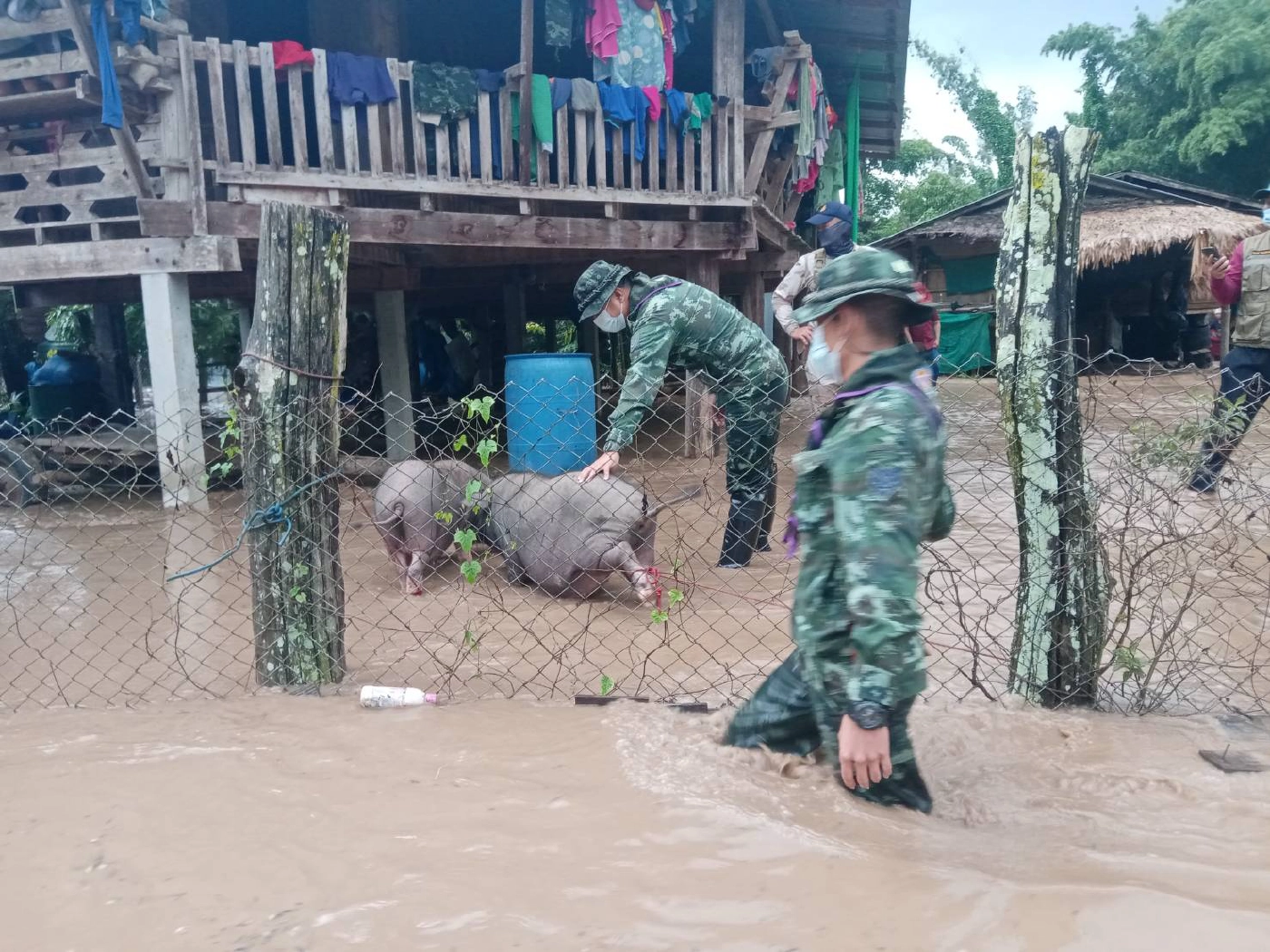 อุ้มผาง น้ำท่วมฉับพลัน ทหารและฝ่ายปกครองท้องที่เร่งช่วยเหลือ