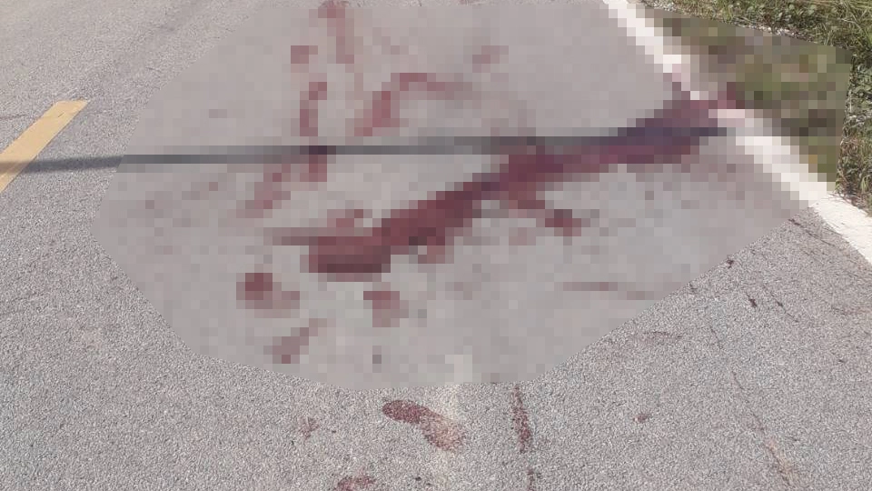 คนร้ายดักยิงอดีตกำนันที่จะแนะเสียชีวิต คาดขัดแย้งส่วนตัว