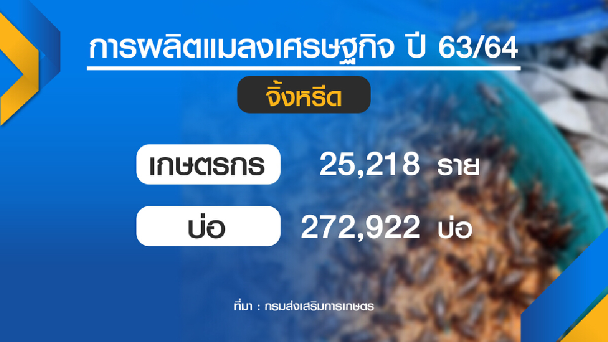 เกษตรฯอัดงบดัน แมลง สร้างรายได้ชุมชน