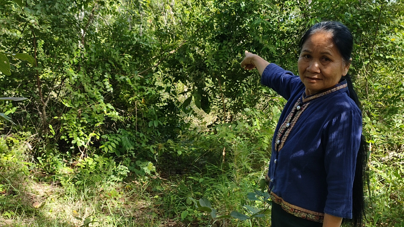 ป้าวัย58เข้าป่าหาเห็ดเจอไอ้โม่งโรคจิตย่องเอาผ้าคลุมหัว