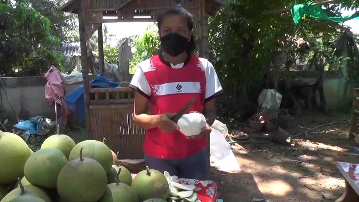 ส้มโอหวานเงินล้านบ้านแท่นขายดีมียอดส่งออกจีน ไม่กระทบแม้โควิดระบาด