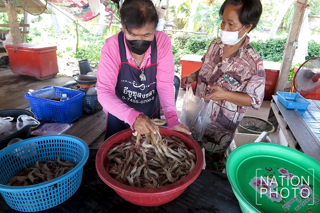 สดจากลุ่มน้ำทะเลสาบ ครัวขนาดใหญ่ของชาวสงขลา
