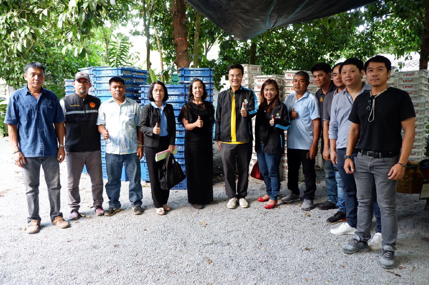 เกษตรฯ คิกออฟขายมังคุด 8 เดือน 8 ช่วยชาวสวน