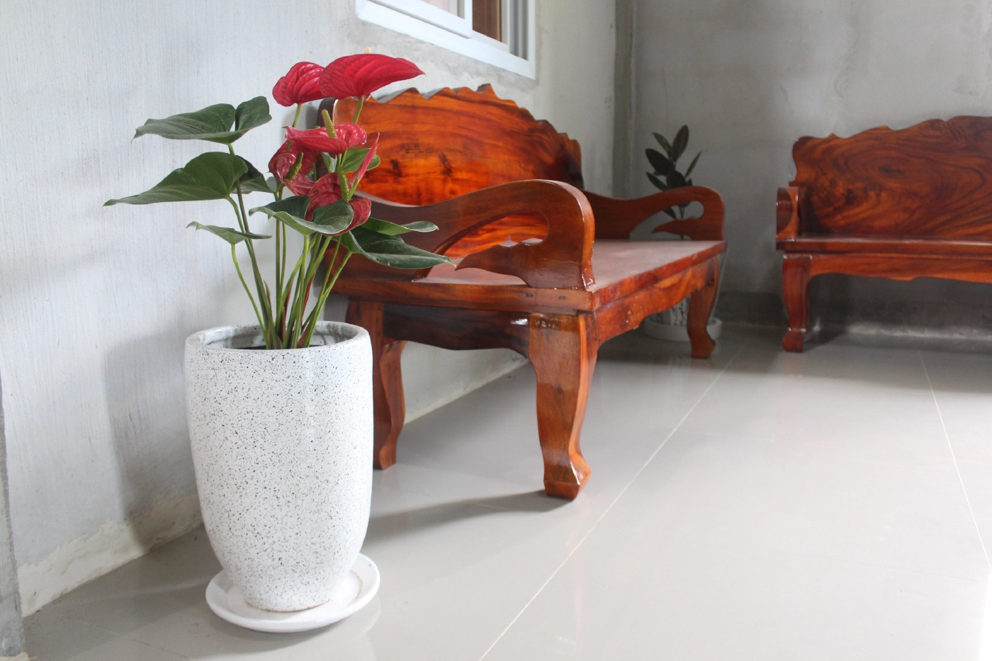 กระถางต้นไม้ดินเผาขายดี สวนกระแสวิกฤติโควิด-19