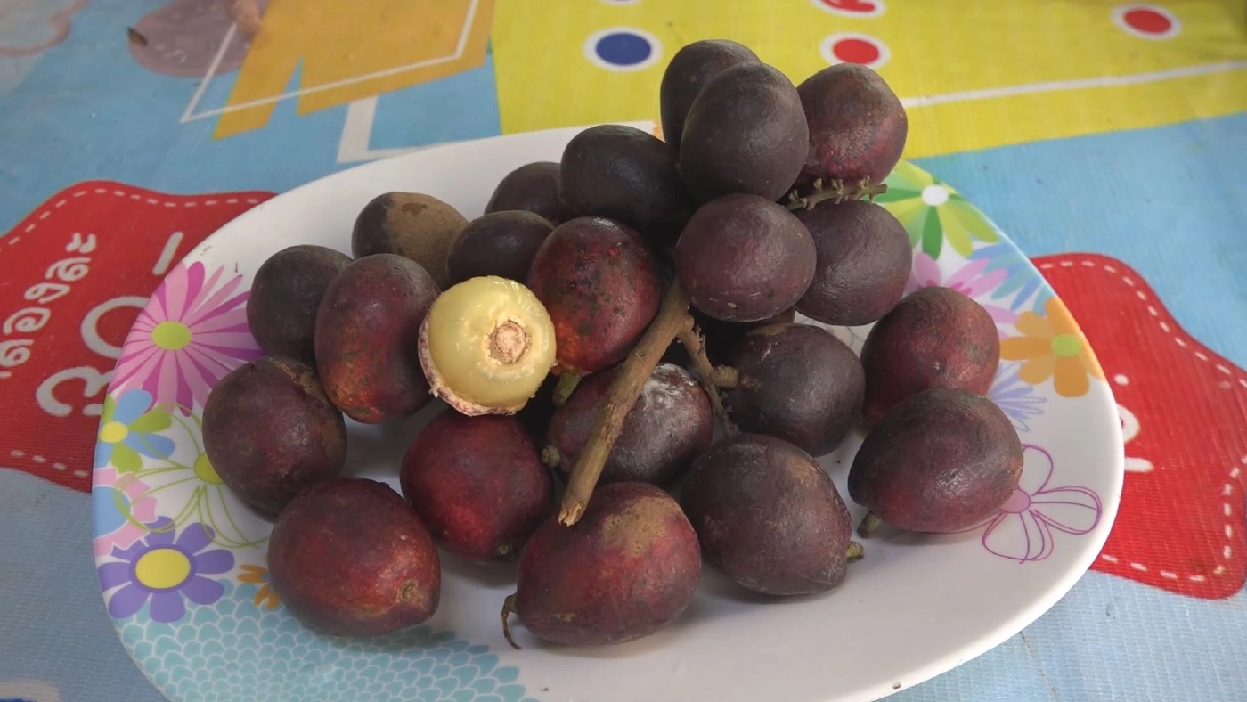 ลำไยคริสตัลม่วงจัมโบ้ ราคาพุ่ง 1,500 บาท/กก.