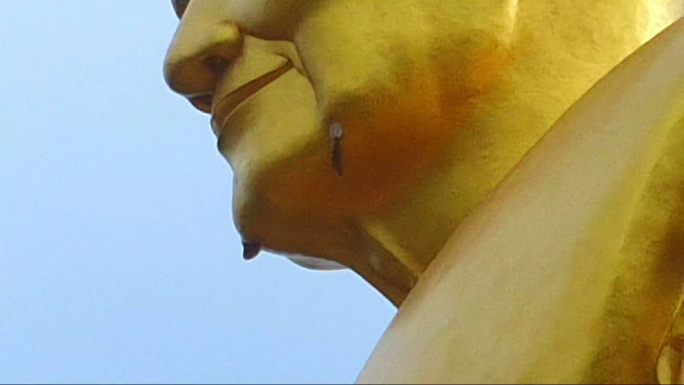 อัศจรรย์!ผึ้งหลวงทำรังรูปหล่อหลวงปู่ดู่