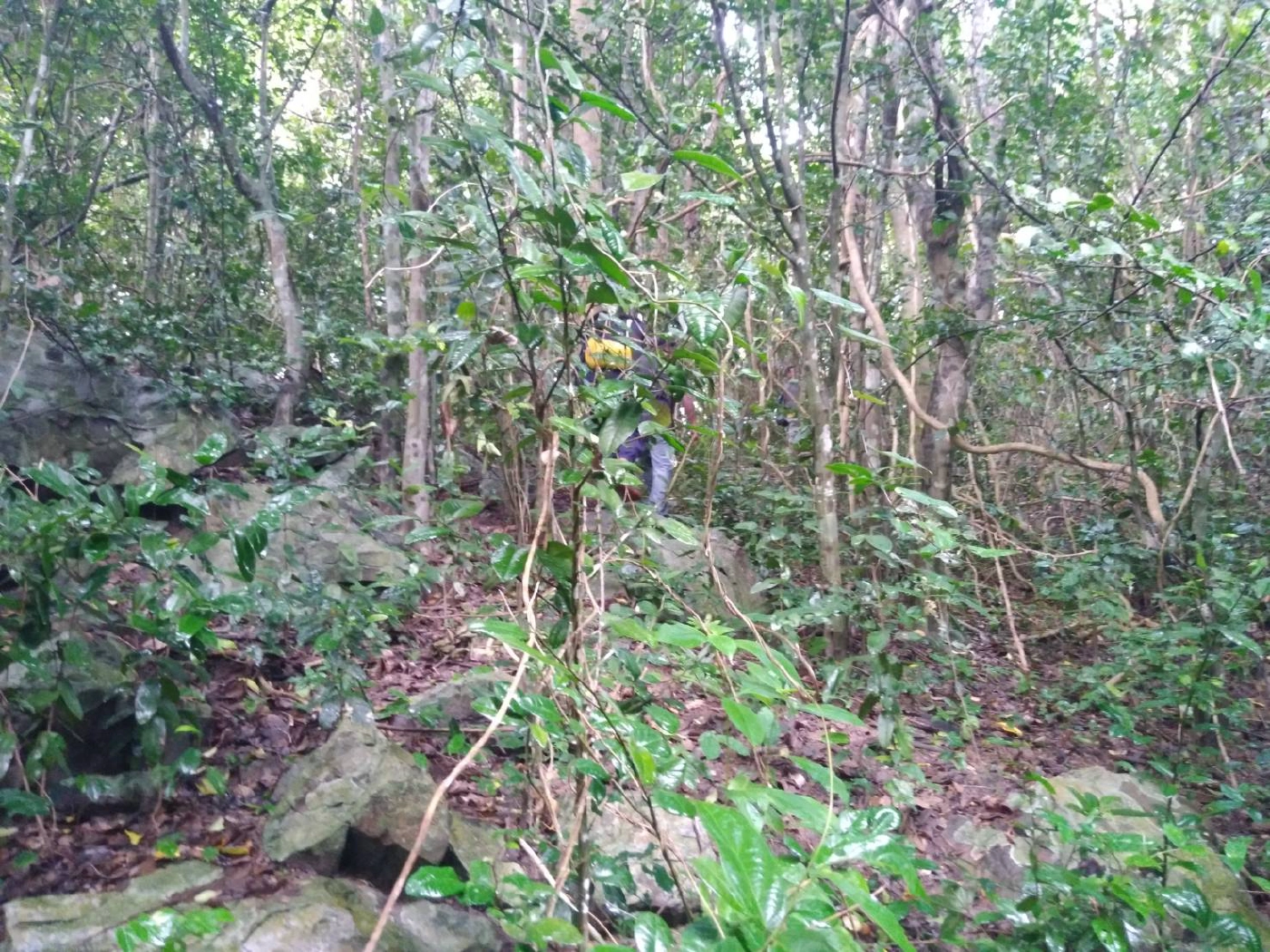 พบแล้วร่าง GM โรงแรมเกาะพีพี เสียชีวิตบนเนินอ่าวเปลว