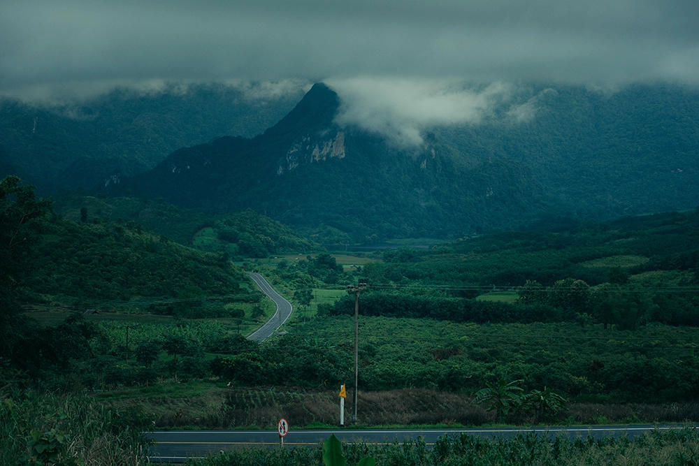 61 ปี การไฟฟ้าส่วนภูมิภาค มุ่งสู่ Digital Transformation