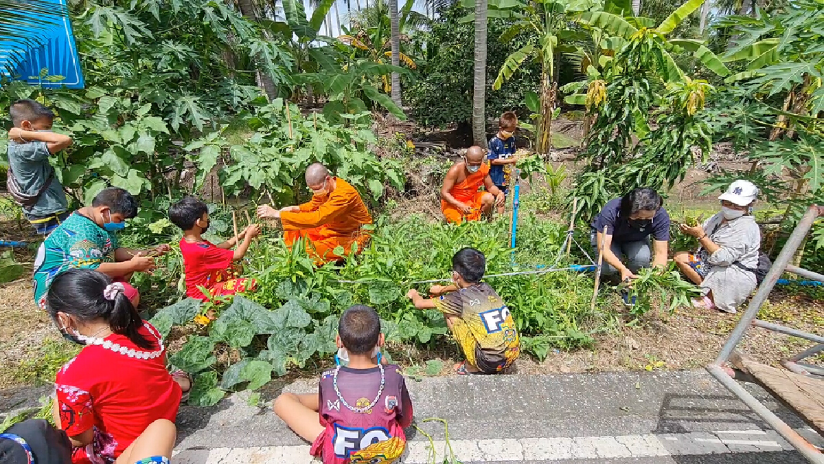 เด็ก ป.4 เหยียบบ่าปีนต้นไม้สูง 3 เมตรเก็บลูกน้ำเต้าแจกชาวบ้าน