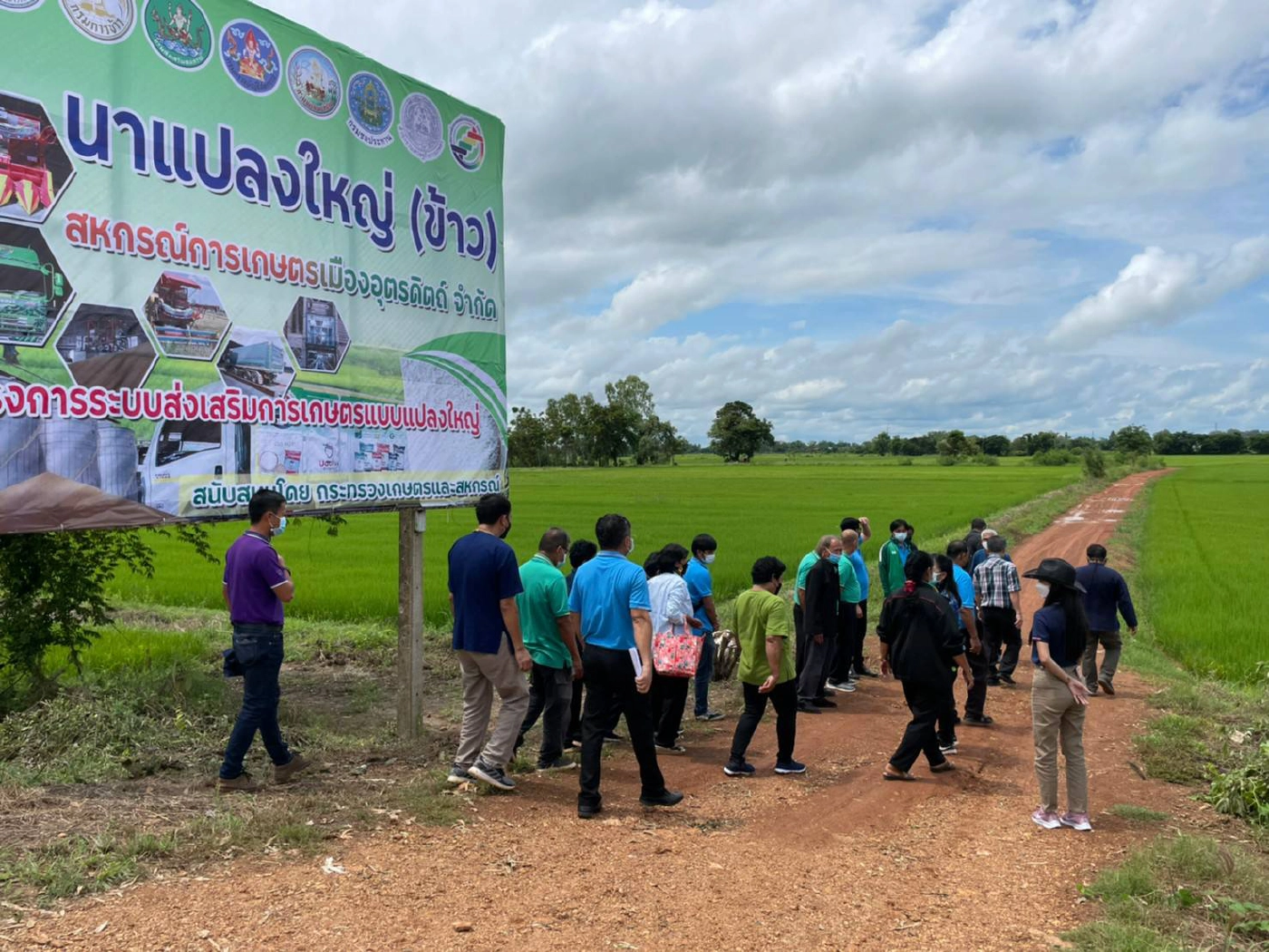 ชาวนาอุตรดิตถ์ยิ้มร่า! "ซื้อทุกเมล็ด"-นาแปลงใหญ่