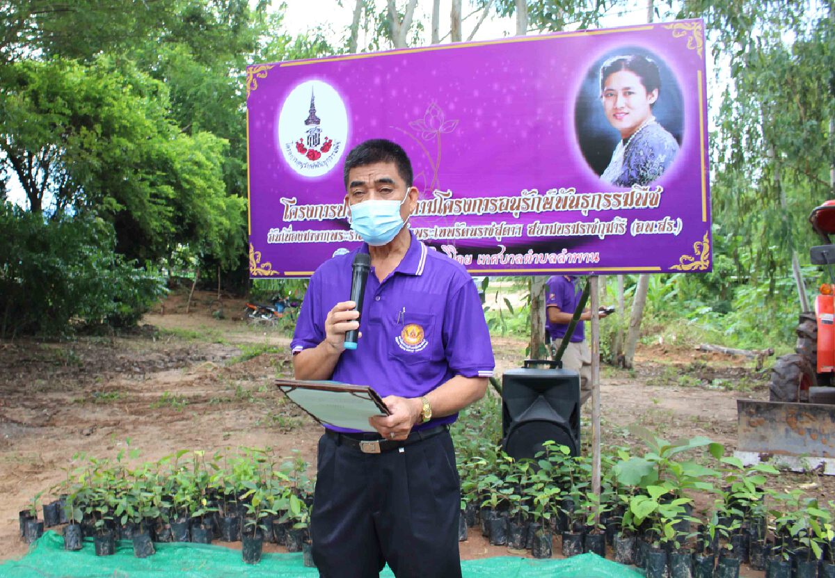 ปลูกยางนาอนุรักษ์พันธุกรรมพืชสร้างแหล่งอาหารชุมชน