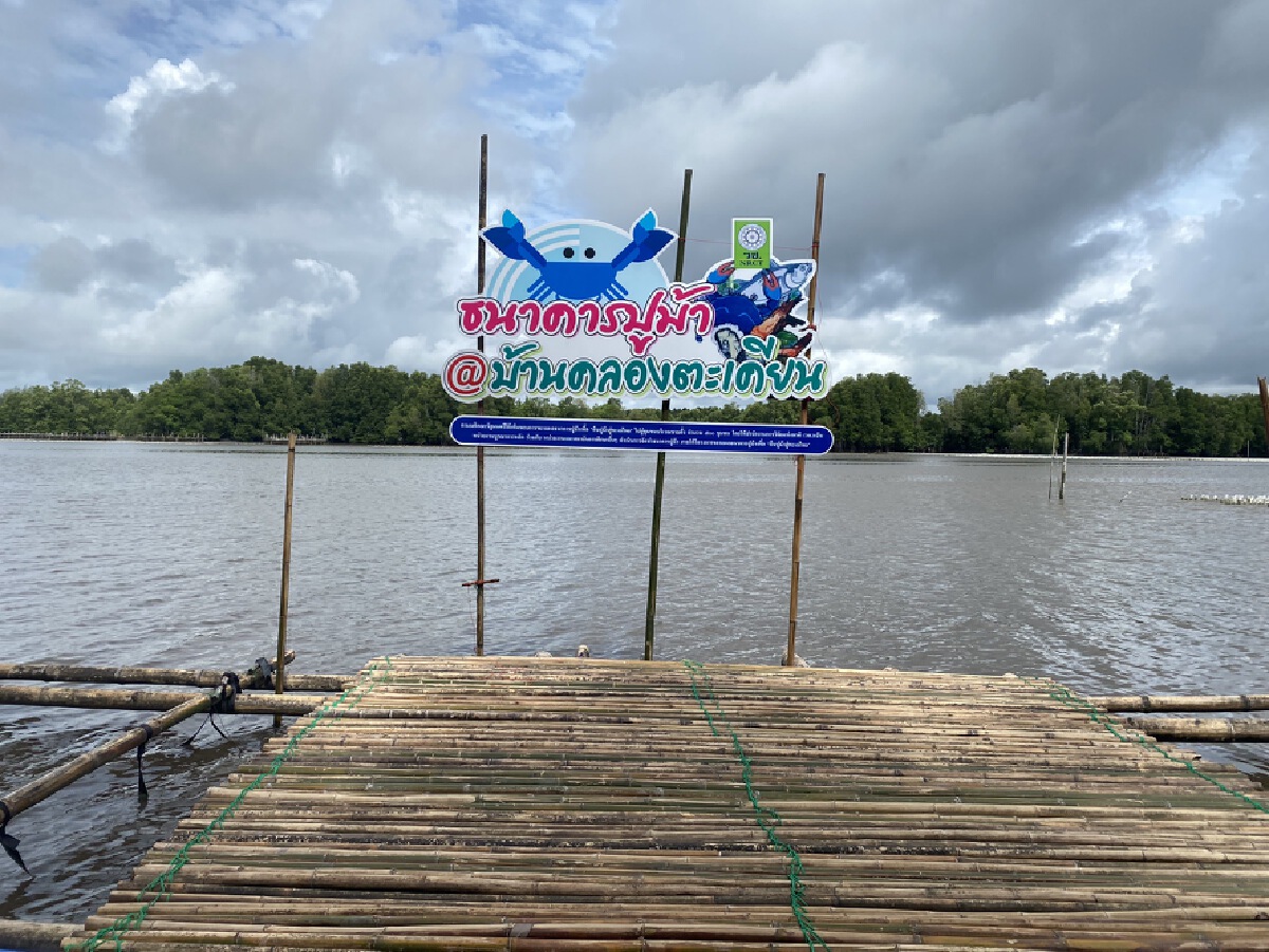 ส่งเสริมชาวประมงพื้นบ้านเลี้ยงปูอย่างยั่งยืน