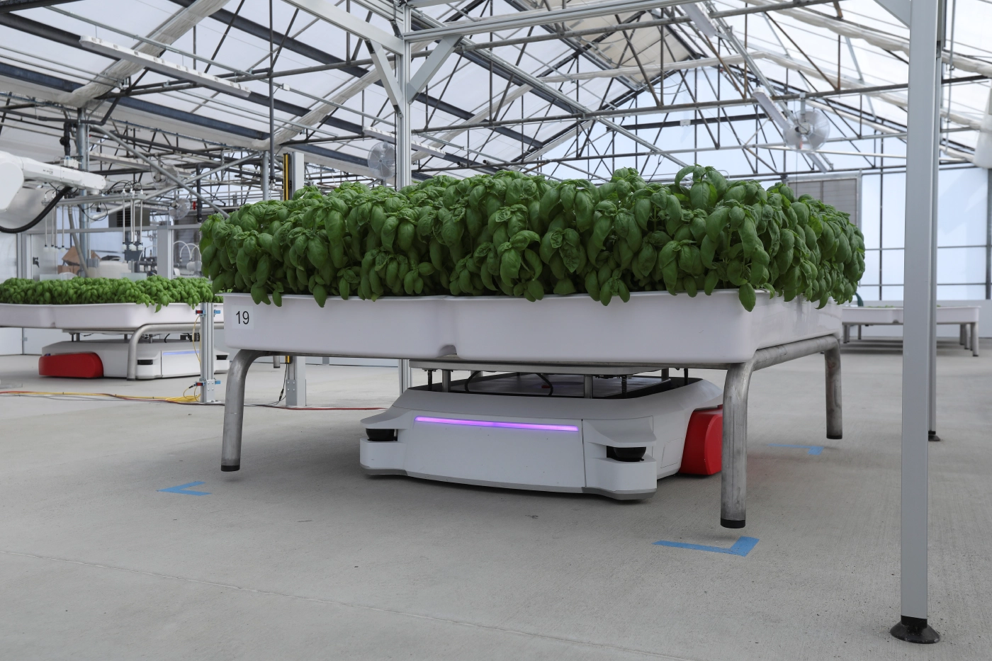 นักลงทุนสนใจระบบการเพาะปลูกด้วยหุ่นยนต์ สู้โลกร้อน