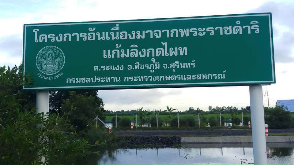 มากับน้ำ พบจระเข้นอนขวางริมคลองเตือนระวัง
