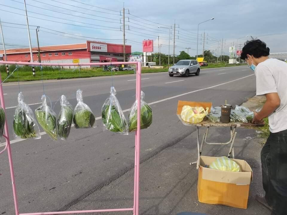 "เมี่ยงคำยุคใหม่" ใช้ "ใบกระท่อม" แทนใบชะพลู ตั้งขายกันริมถนน ย่านหนองจอก