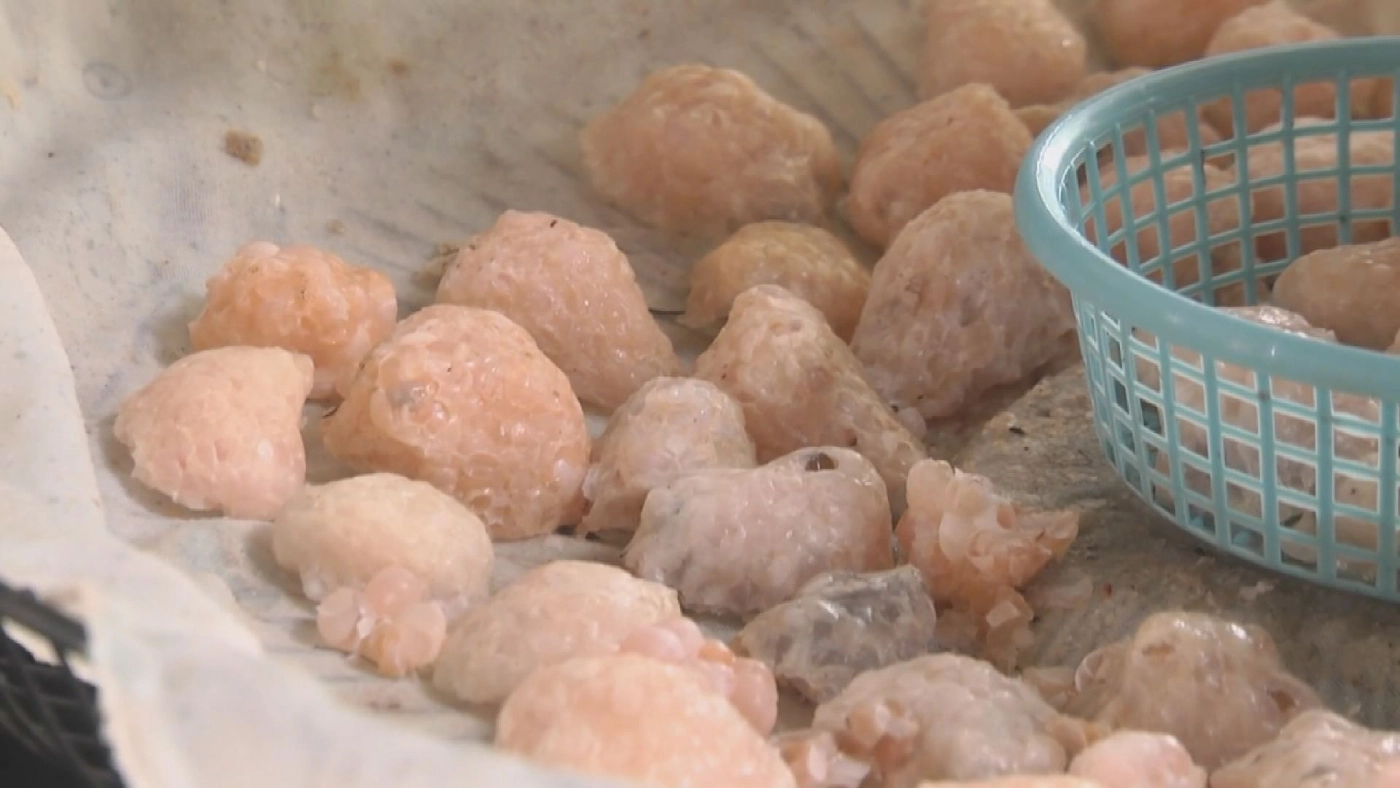 ขาย หอยโข่ง ผ่านโซเชียล ทำเงินหลักหมื่น/เดือน