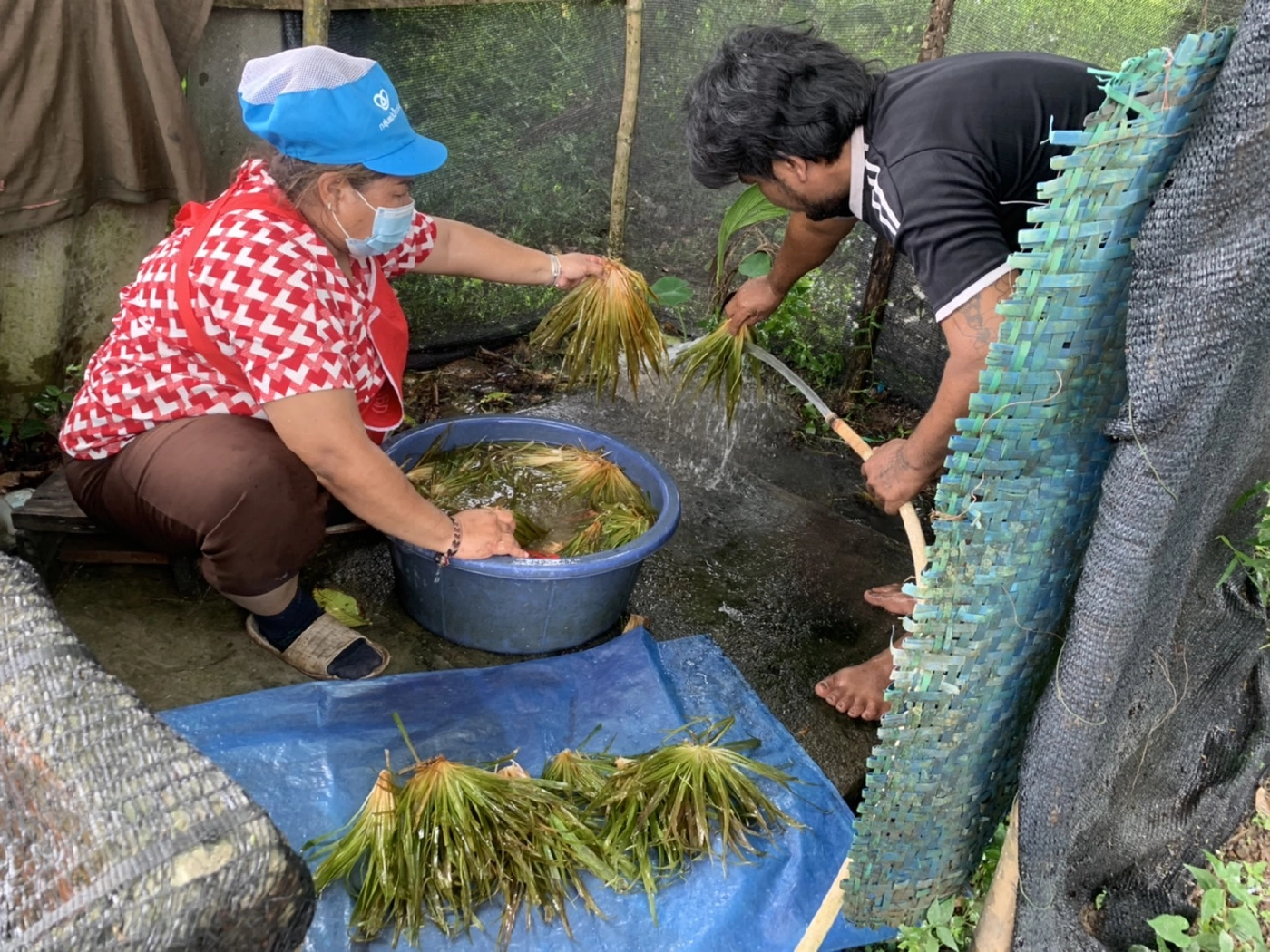 ชวนไปกินหญ้าทอด "หญ้ามารวย" หนึ่งปีมีครั้งเดียว