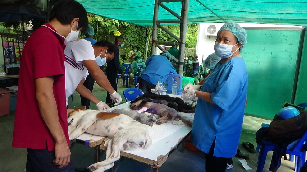 โครงการวันป้องกันโรคพิษสุนัขบ้าโลก สัตว์ปลอดโรคคนปลอดภัย