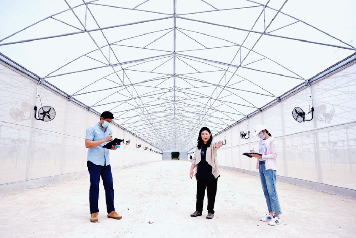 “นางฟ้ากัญชา” อวดโฉมแรก “CBD Agro-Tech Center”  โรงปลูกกัญชา-กัญชงของ “แคนนาบิซ เวย์” บนเนื้อที่กว่า 36 ไร่