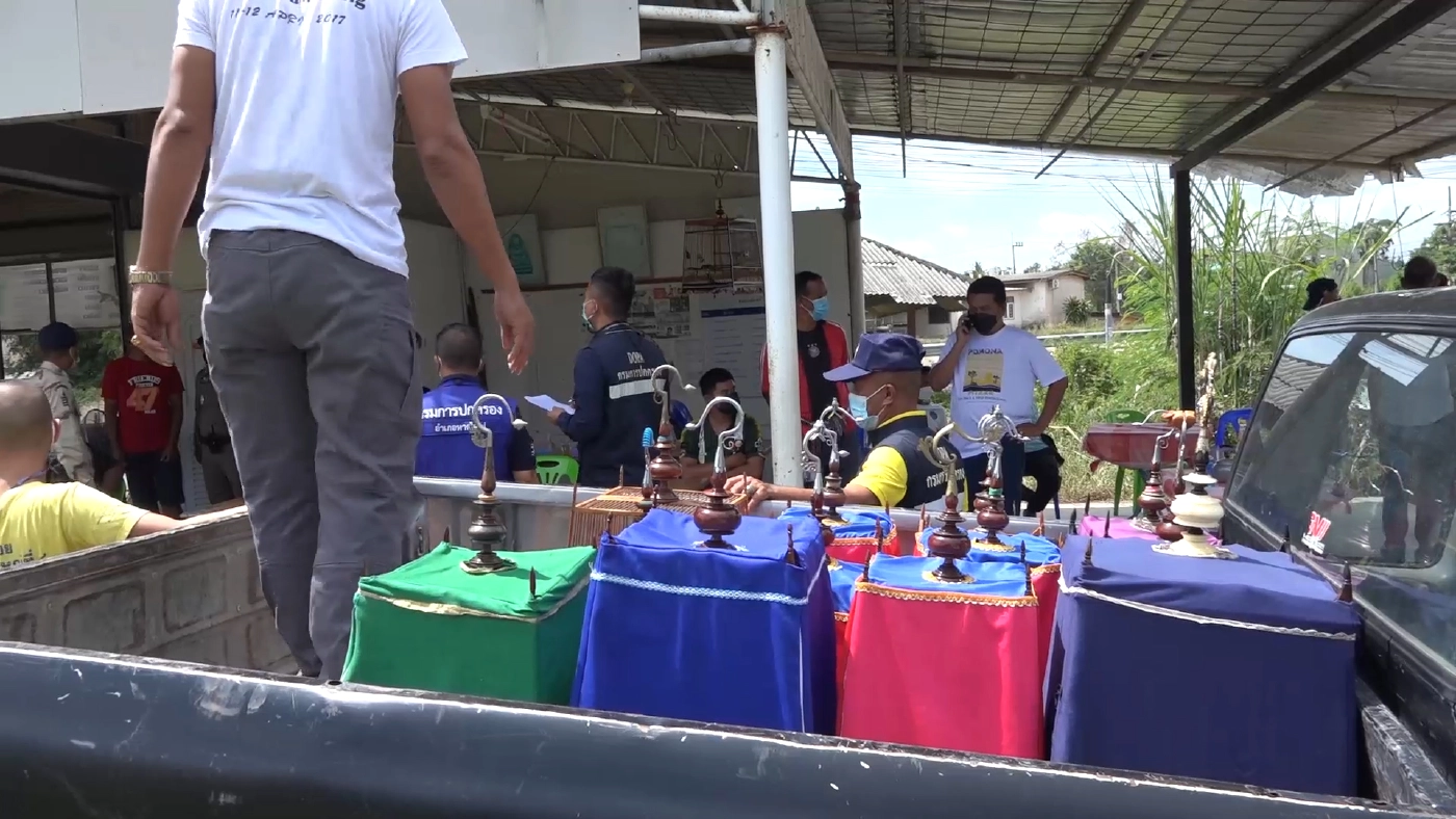 ตำรวจหาดใหญ่ - ฝ่ายปกครอง จับเซียนนกกรงคาสนามแข่ง