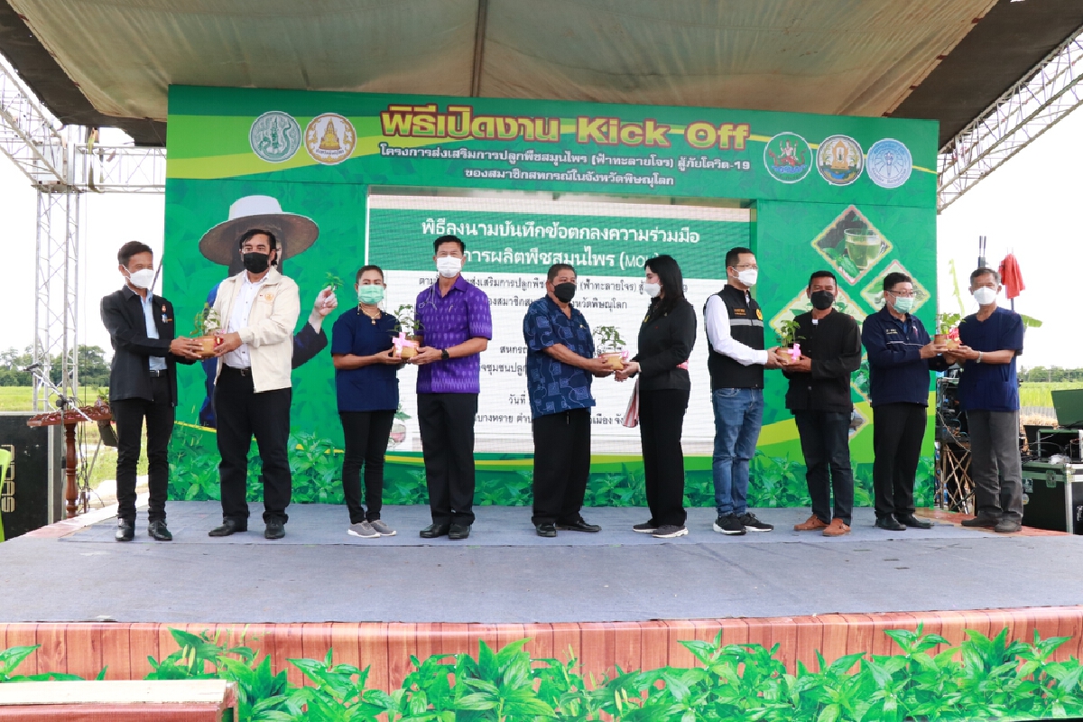"มนัญญา"Kick Off ปลูก"ฟ้าทะลายโจร- สร้างรายได้ให้เกษตรกร