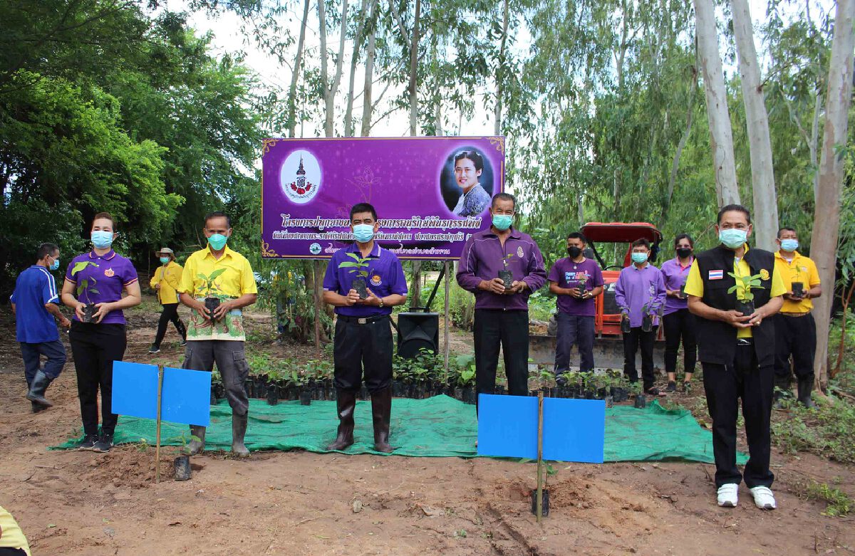 ปลูกยางนาอนุรักษ์พันธุกรรมพืชสร้างแหล่งอาหารชุมชน