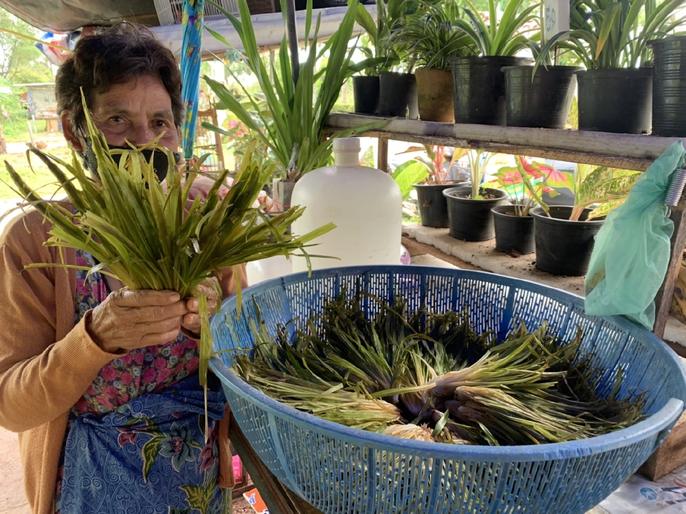 ชวนไปกินหญ้าทอด "หญ้ามารวย" หนึ่งปีมีครั้งเดียว
