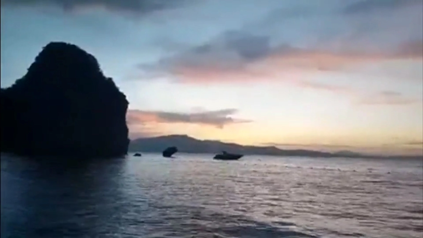 ตื่นตา! ฝูงฉลามหูดำกว่า 30 ตัว โผล่ว่ายหากินหมู่เกาะห้อง หลังหายไปนาน 4 เดือน