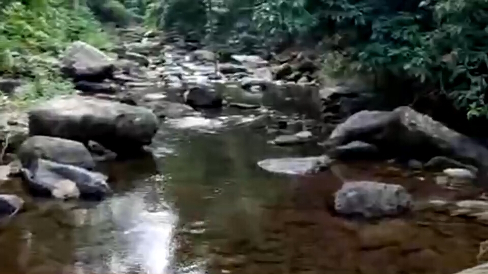สืบสวนความจริง | เวทีเสวนาปัญหาลุ่มน้ำย่าง