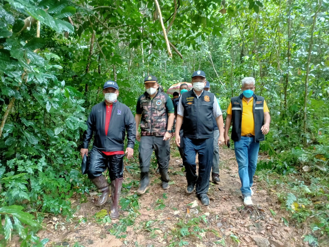 เร่งสร้างโป่งเทียมสุราษฎร์ฯ แก้ปัญหาช้างป่า