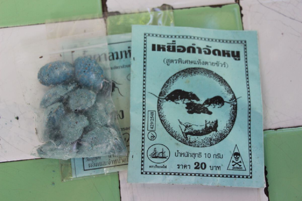 หนุ่มซดเหล้า-ยาเบื่อหนูเมาคลั่งใช้ท่อนไม้ ก้อนหินปารถพังหลายคัน