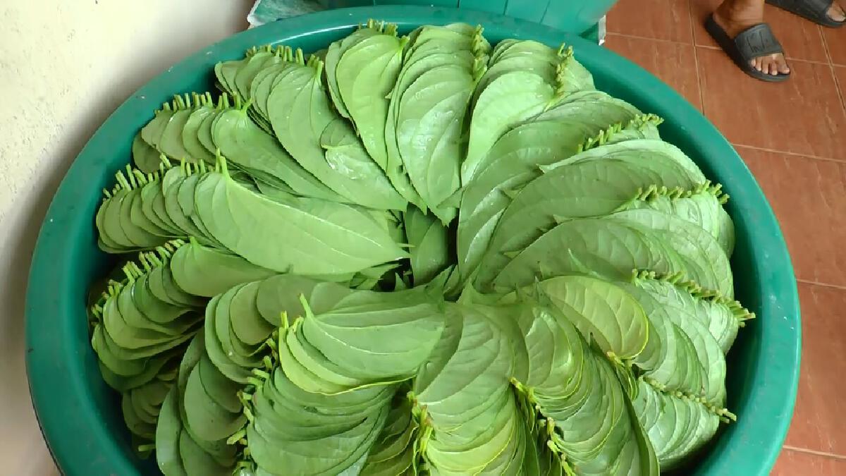 เปิดบ้าน "ป้านุ" ขายเครื่องกินหมาก หนึ่งเดียวในอุทัยธานี