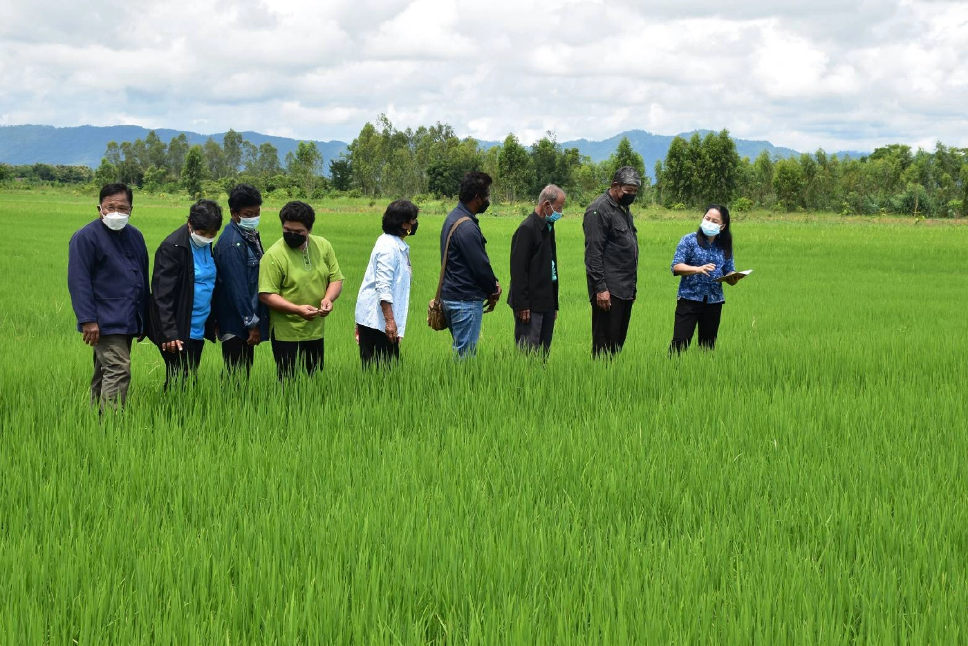 ชาวนาอุตรดิตถ์ยิ้มร่า! "ซื้อทุกเมล็ด"-นาแปลงใหญ่